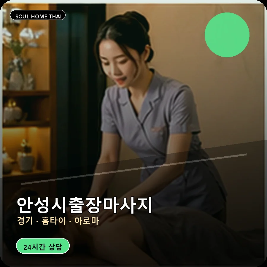 경기 안성시출장마사지