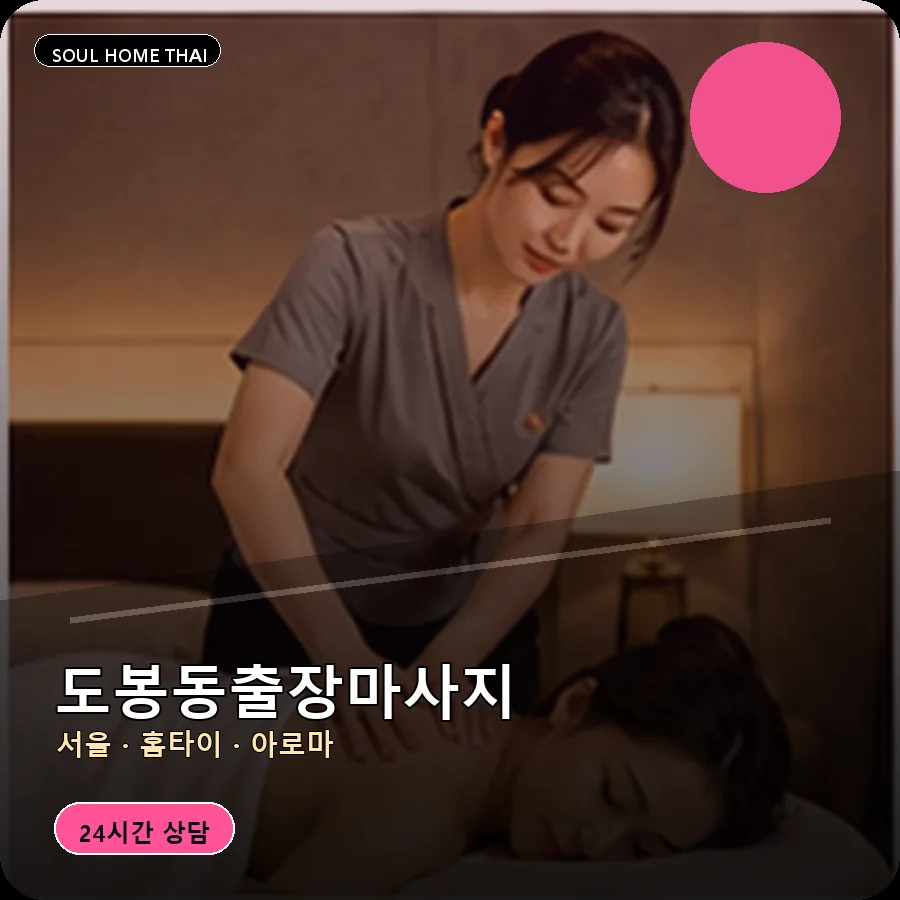 서울 도봉구 도봉동출장마사지