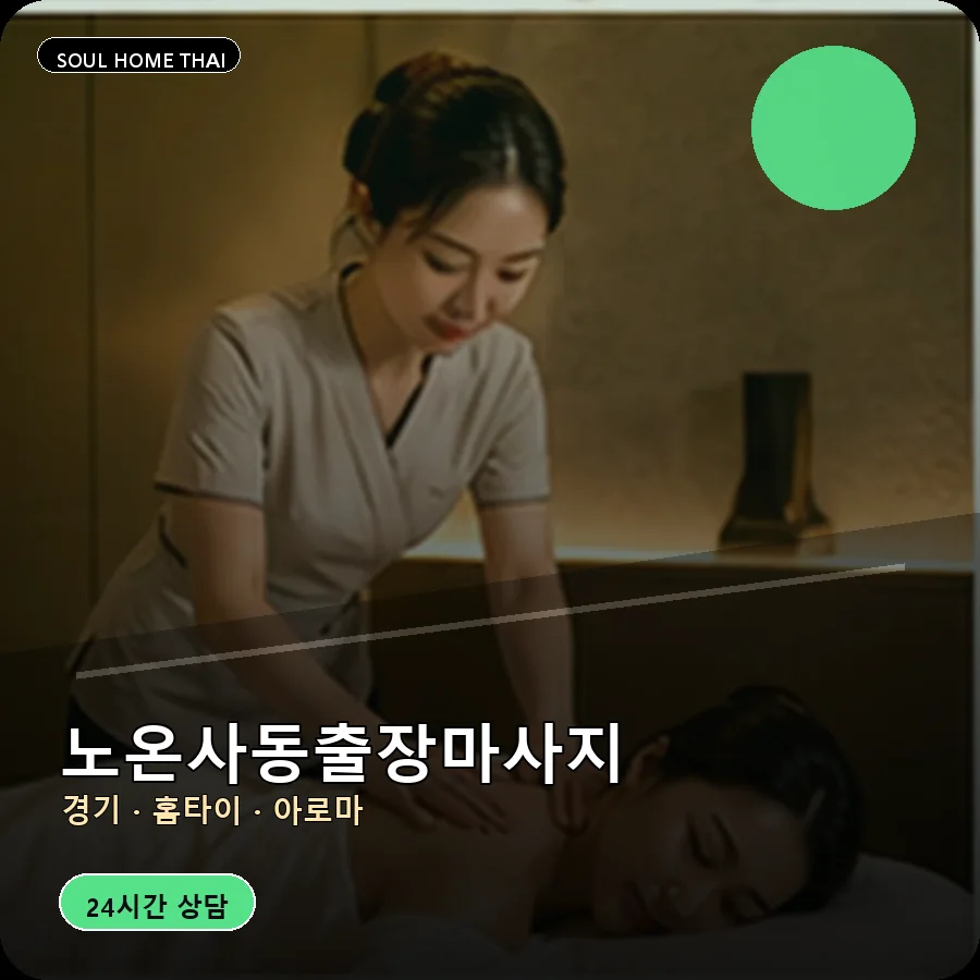 경기 광명시 노온사동출장마사지