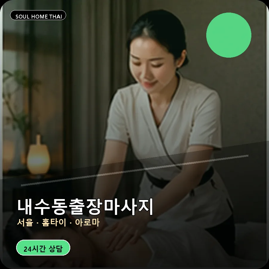서울 종로구 내수동출장마사지