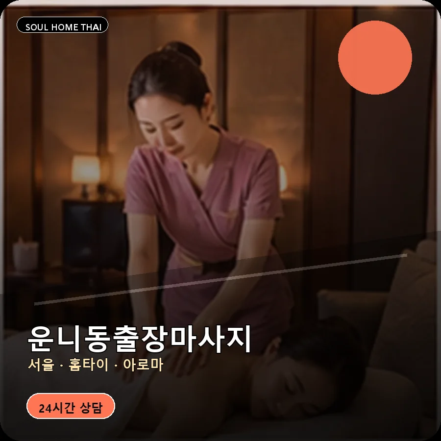 서울 종로구 운니동출장마사지