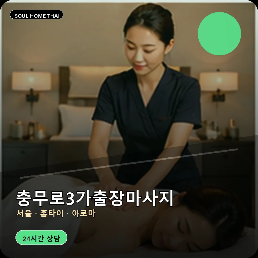 서울 중구 충무로3가출장마사지