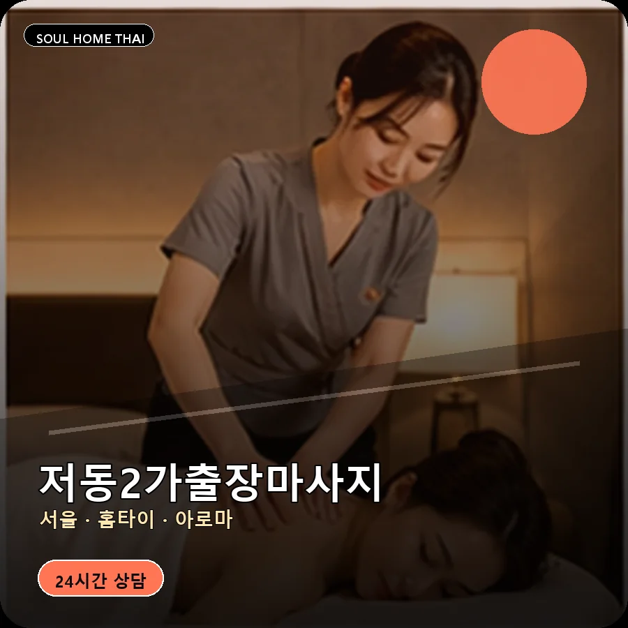 서울 중구 저동2가출장마사지