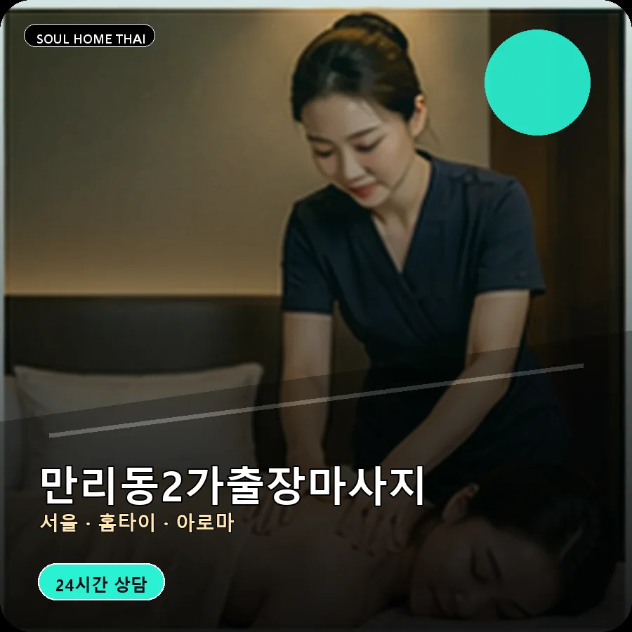 서울 중구 만리동2가출장마사지