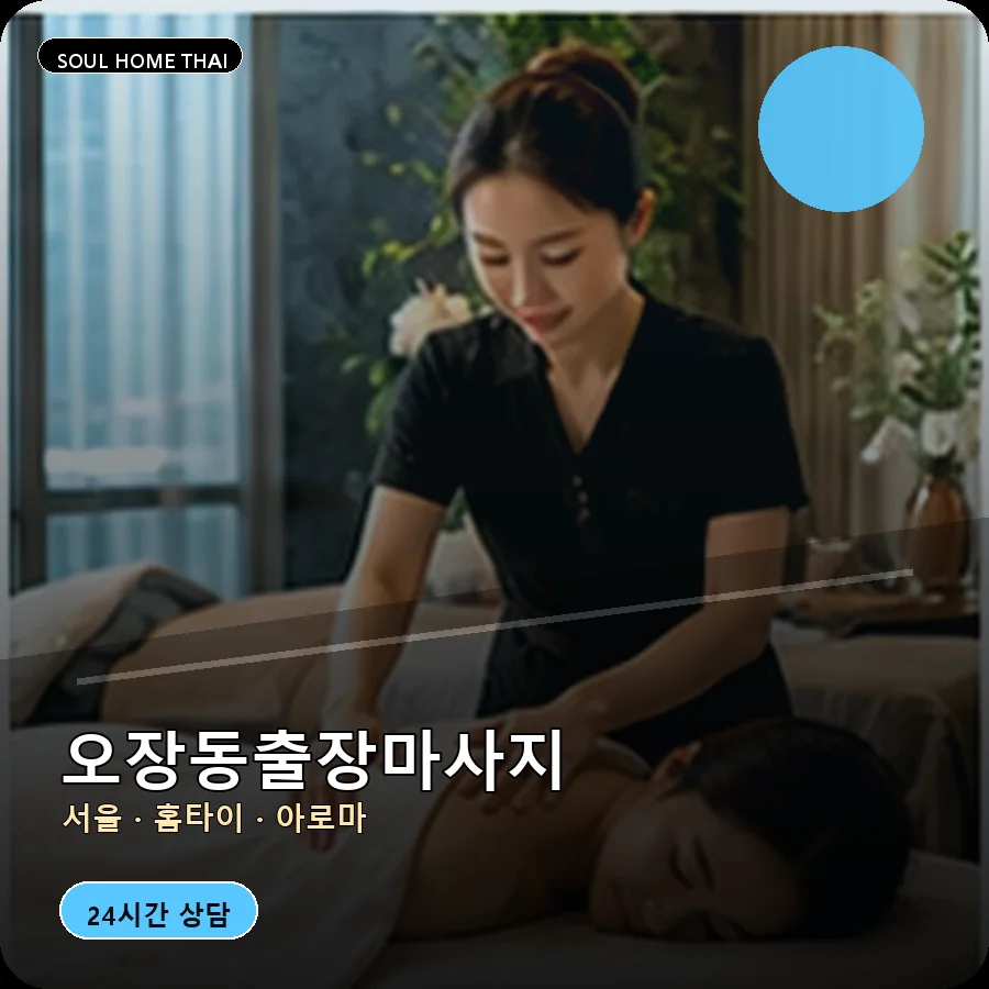 서울 중구 오장동출장마사지