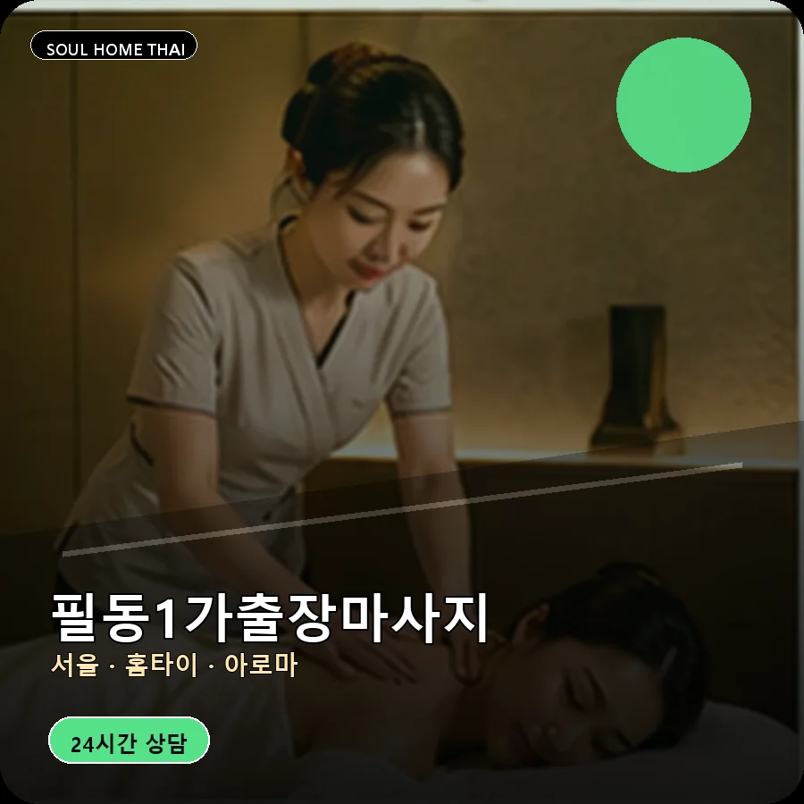 서울 중구 필동1가출장마사지