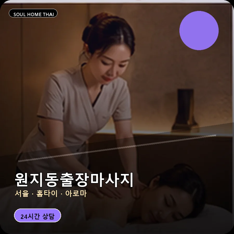 서울 서초구 원지동출장마사지