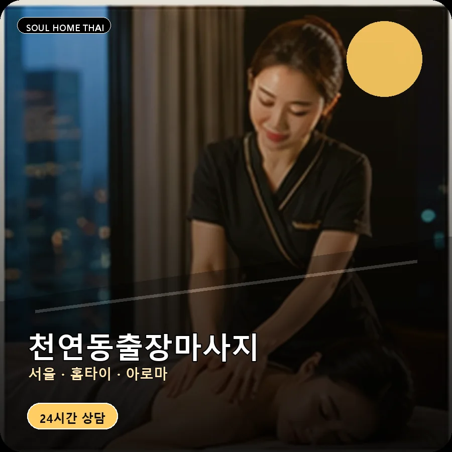 서울 서대문구 천연동출장마사지