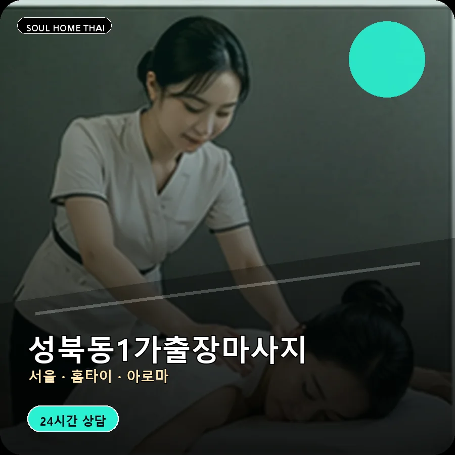서울 성북구 성북동1가출장마사지