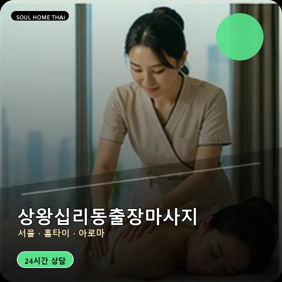 서울 성동구 상왕십리동출장마사지