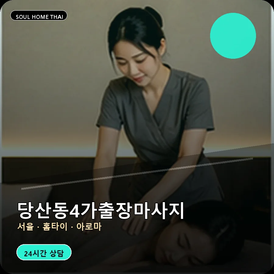 서울 영등포구 당산동4가출장마사지