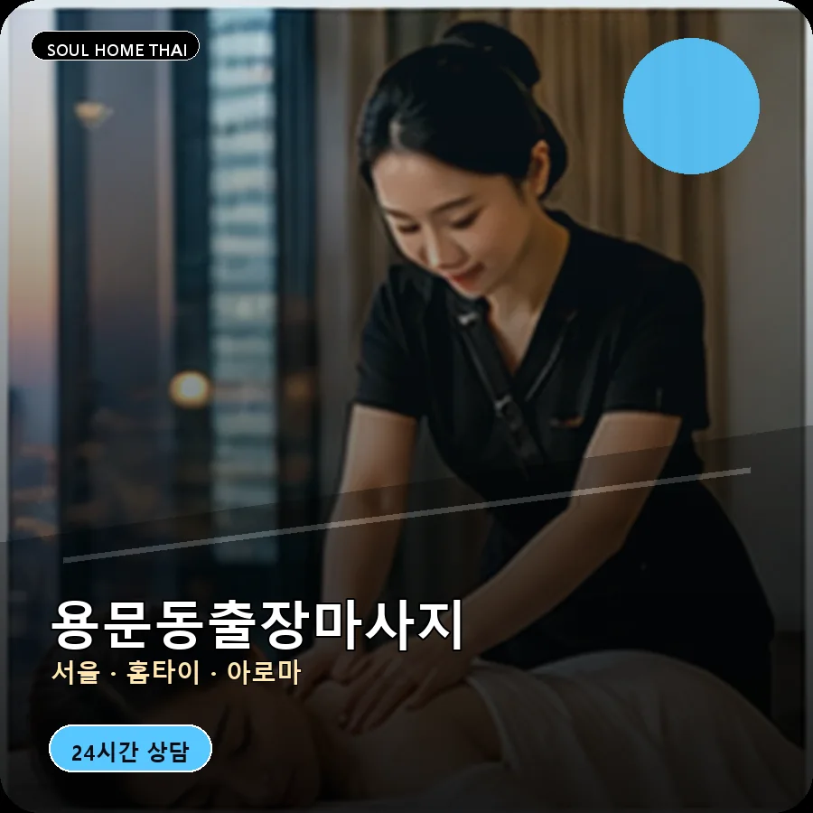 서울 용산구 용문동출장마사지