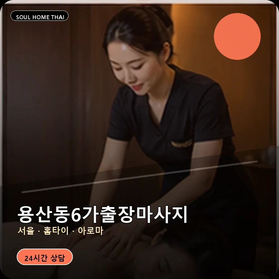 서울 용산구 용산동6가출장마사지